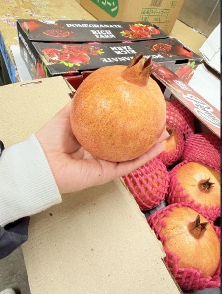 新鮮【空輸】アメリカ産ザクロ　石榴　1箱セット約10ｋｇぐらい柘榴大玉