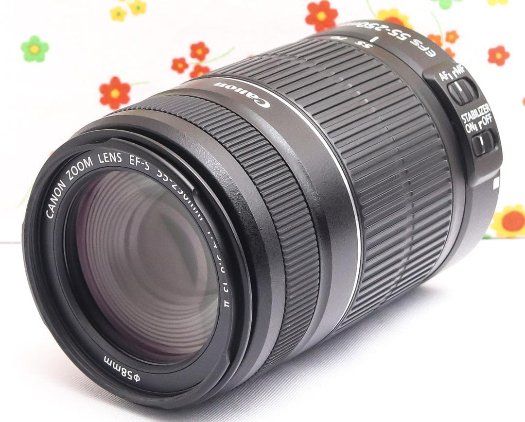 Canon EF-S 55-250mm IS II☆グッと引き寄せる望遠レンズ