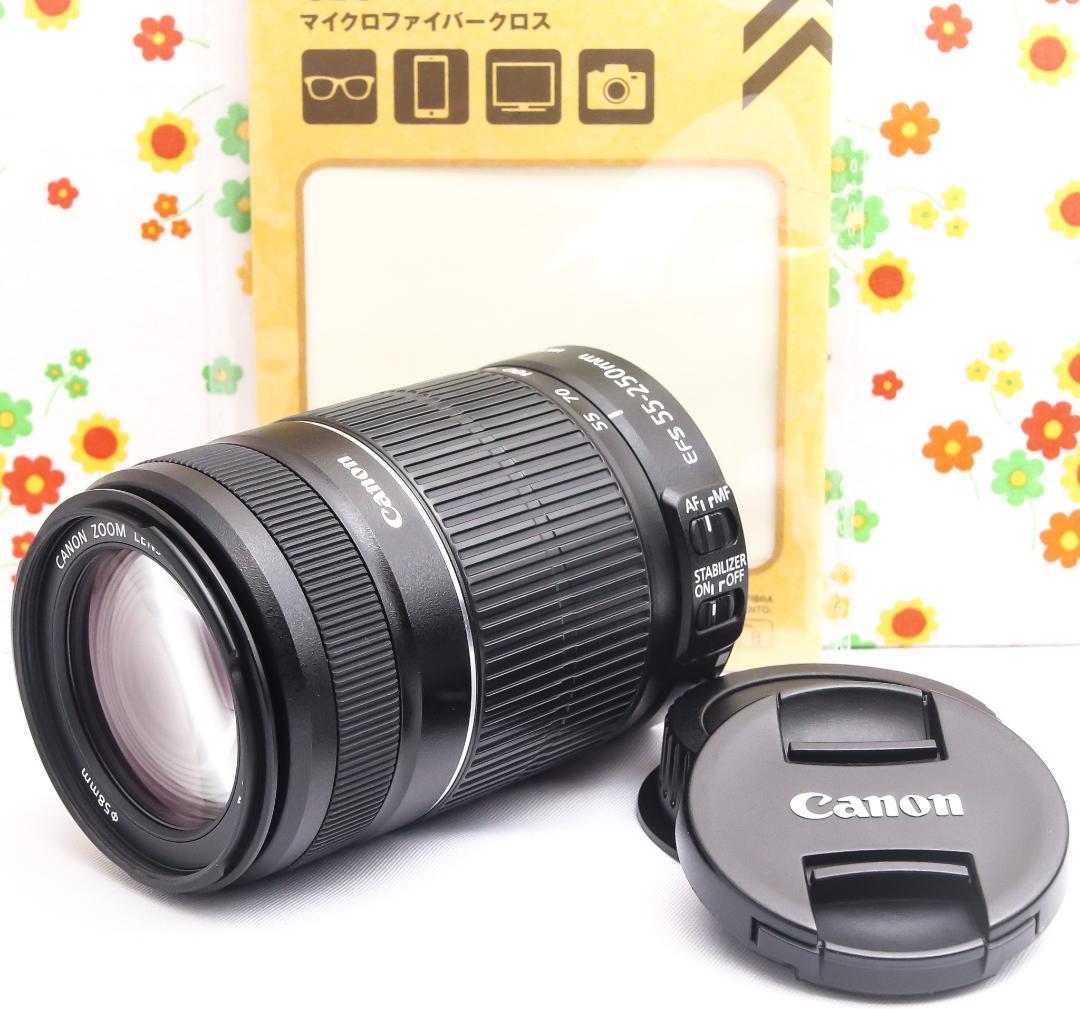 Canon EF-S 55-250mm IS II☆グッと引き寄せる望遠レンズ