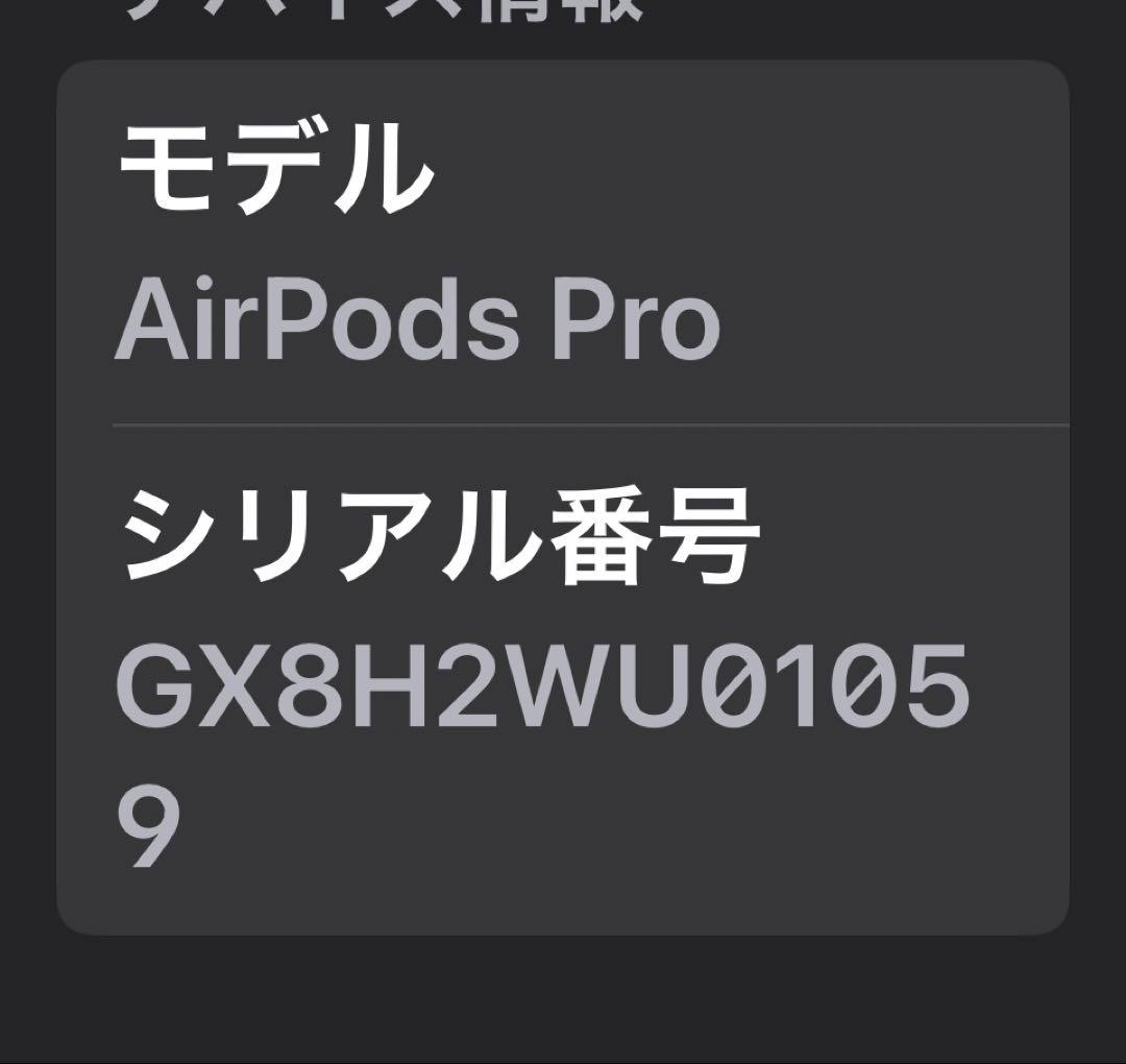 AirPods Pro 本体カバーケース充電ケーブル、イヤホンホルダー付き