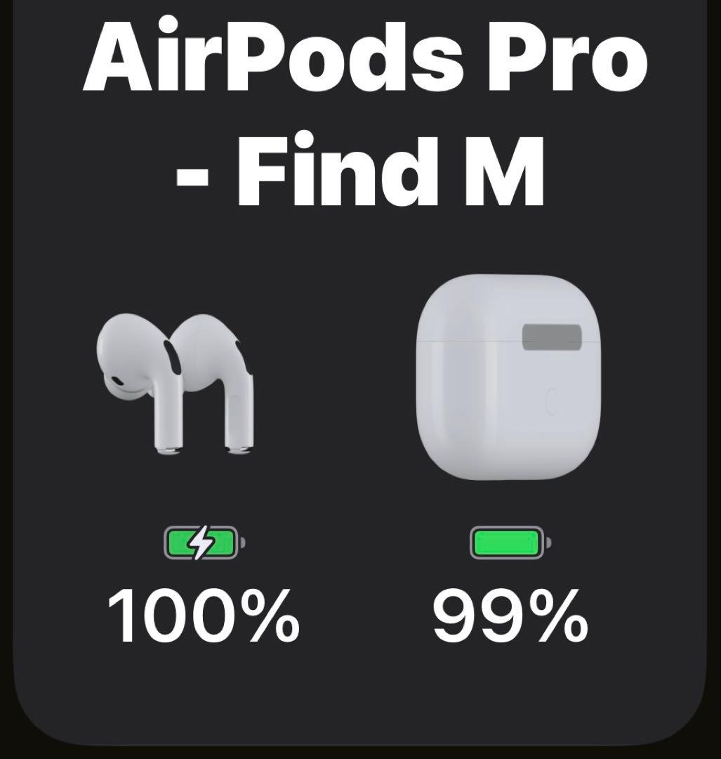 AirPods Pro 本体カバーケース充電ケーブル、イヤホンホルダー付き