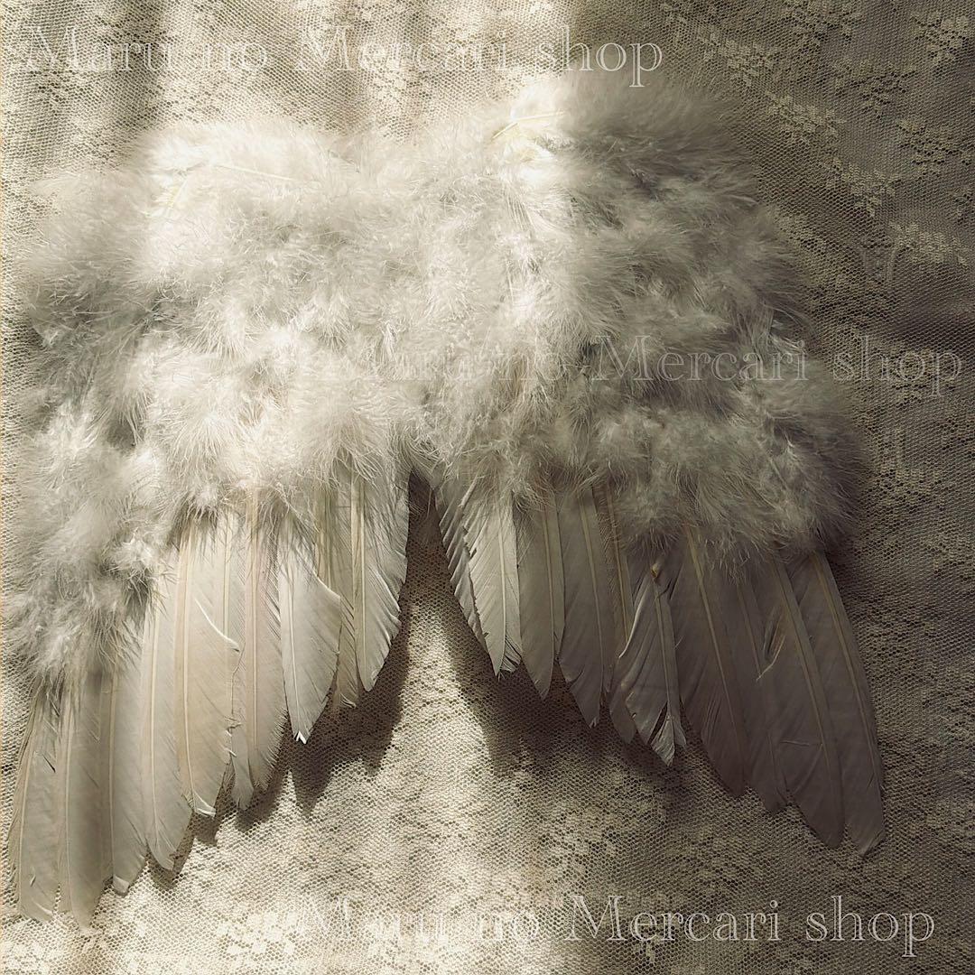 フランス　アンティーク　羽　エンジェル