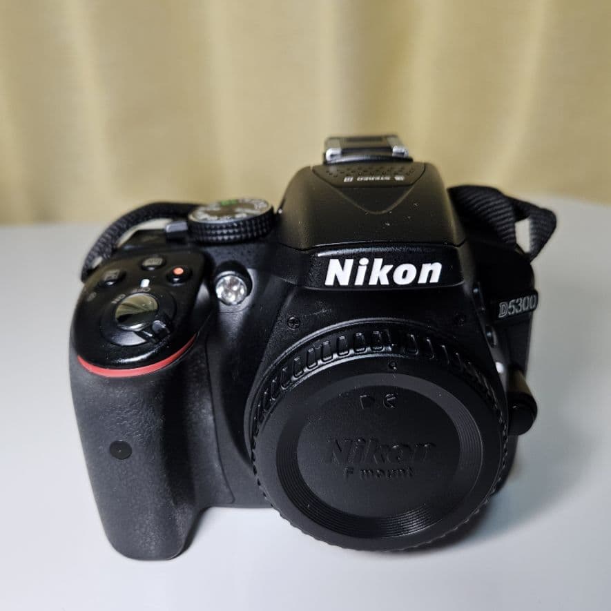 レンズ３本Nikon D5300 AF-P 18-55 VR+単焦点望遠