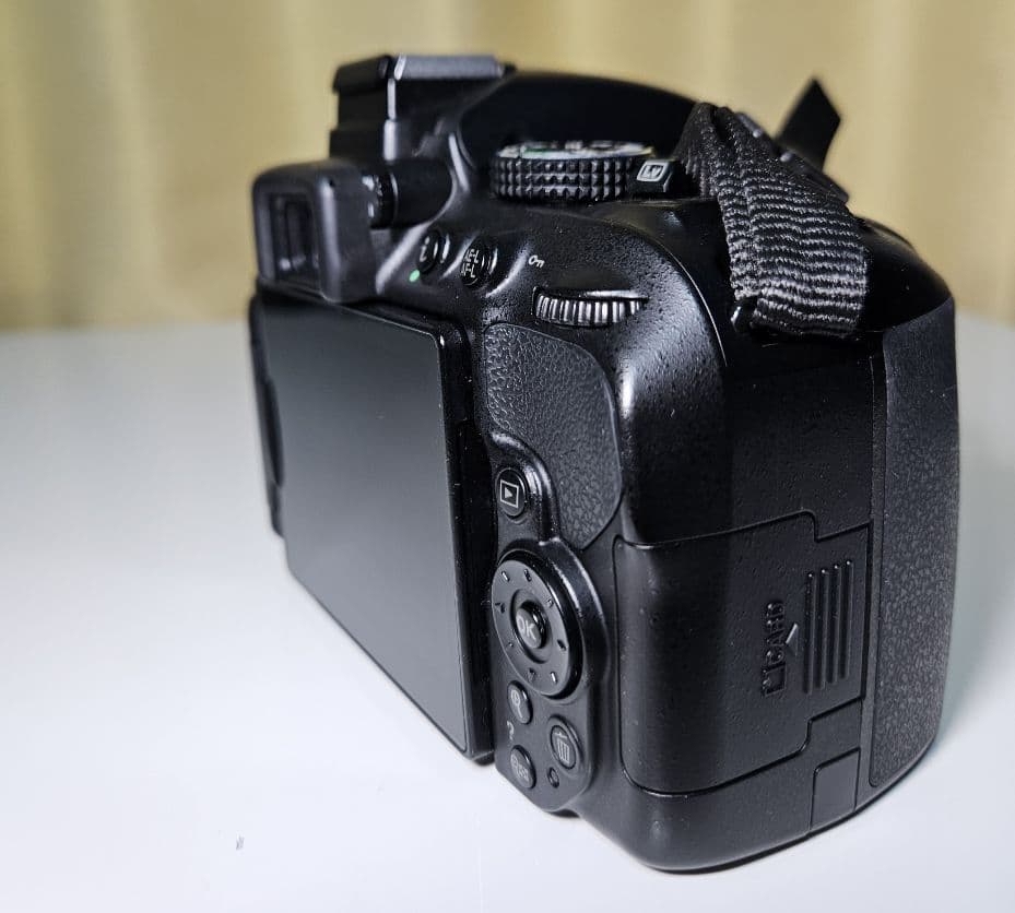 レンズ３本Nikon D5300 AF-P 18-55 VR+単焦点望遠