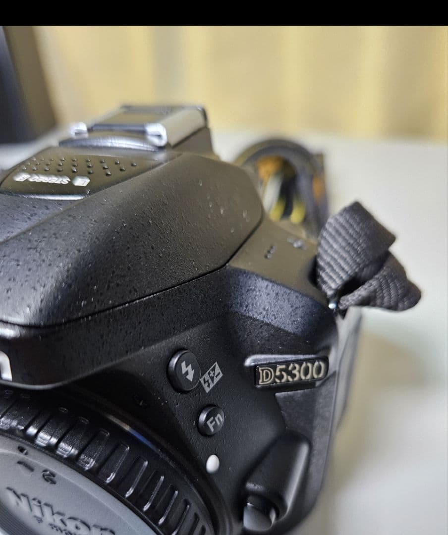 レンズ３本Nikon D5300 AF-P 18-55 VR+単焦点望遠