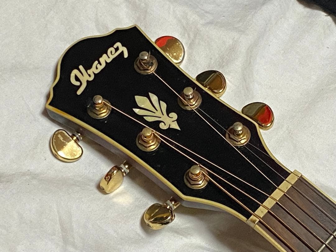 Ibanez エレアコギター　AEC24Ⅱ ソフトケース付美品1948-06-1
