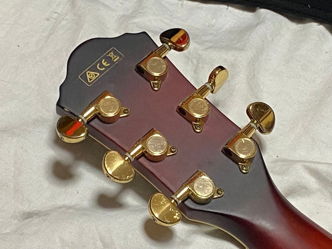 Ibanez エレアコギター　AEC24Ⅱ ソフトケース付美品1948-06-1