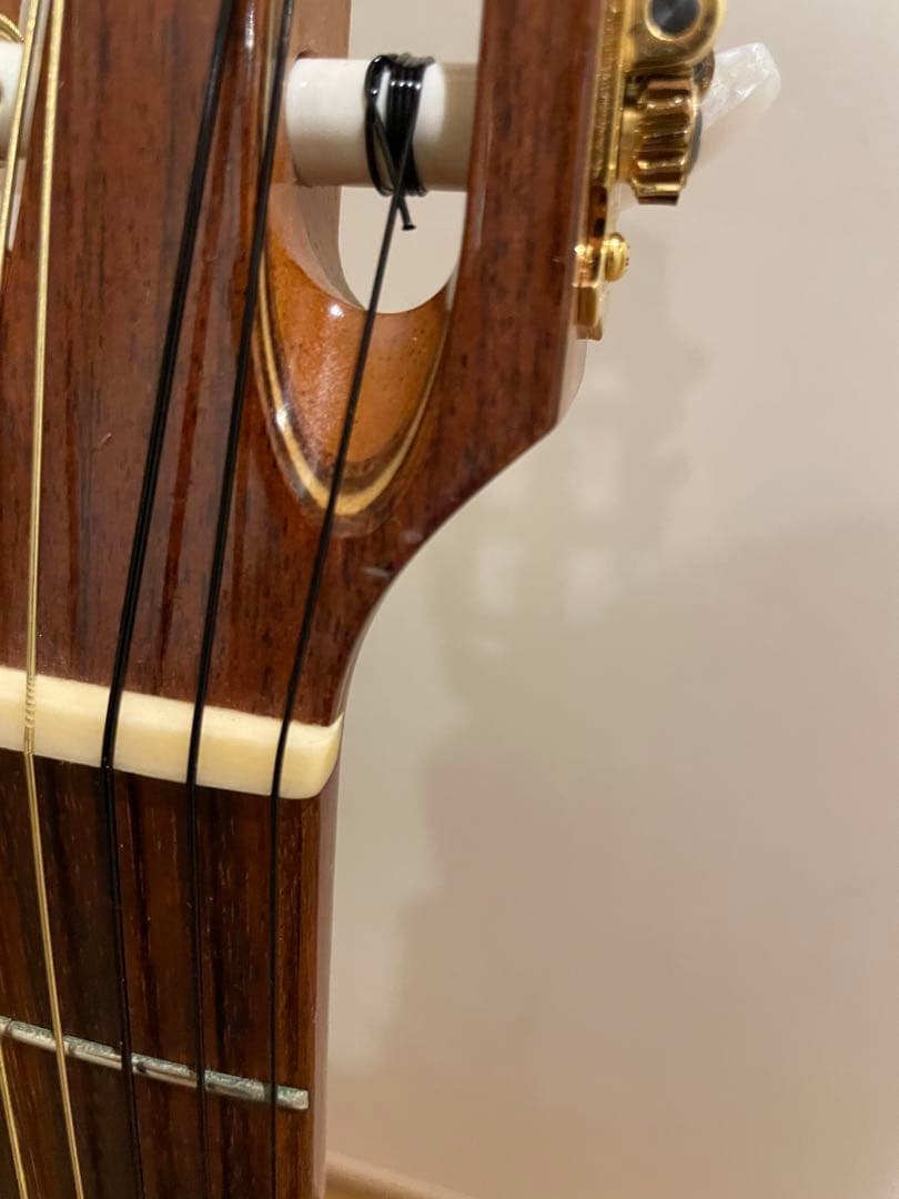 Takamine エレガット　クラシックギター　PTU608n