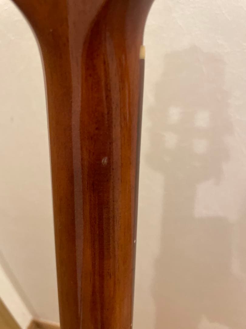 Takamine エレガット　クラシックギター　PTU608n