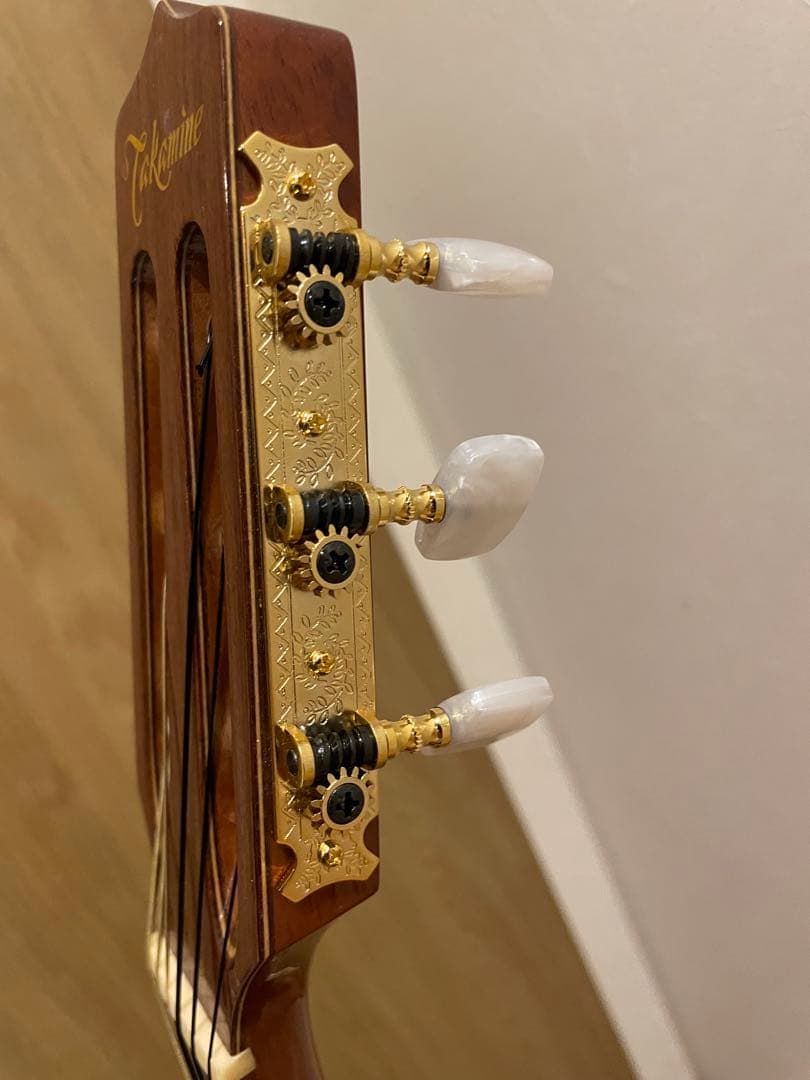 Takamine エレガット　クラシックギター　PTU608n