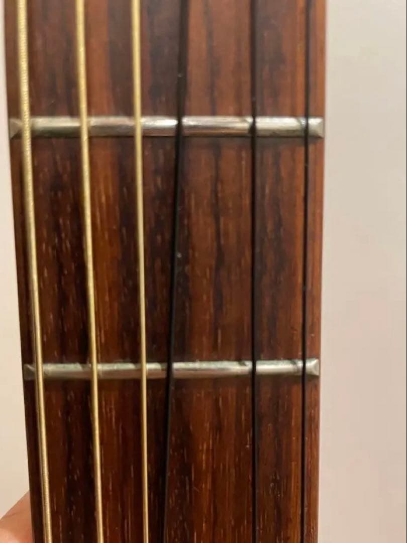 Takamine エレガット　クラシックギター　PTU608n