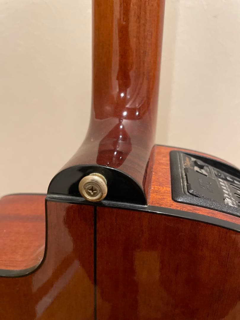 Takamine エレガット　クラシックギター　PTU608n