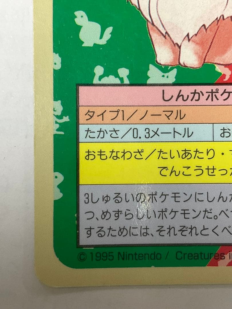 トップサン　裏青　番号なしエラーカード　ポケモンカード イーブイ