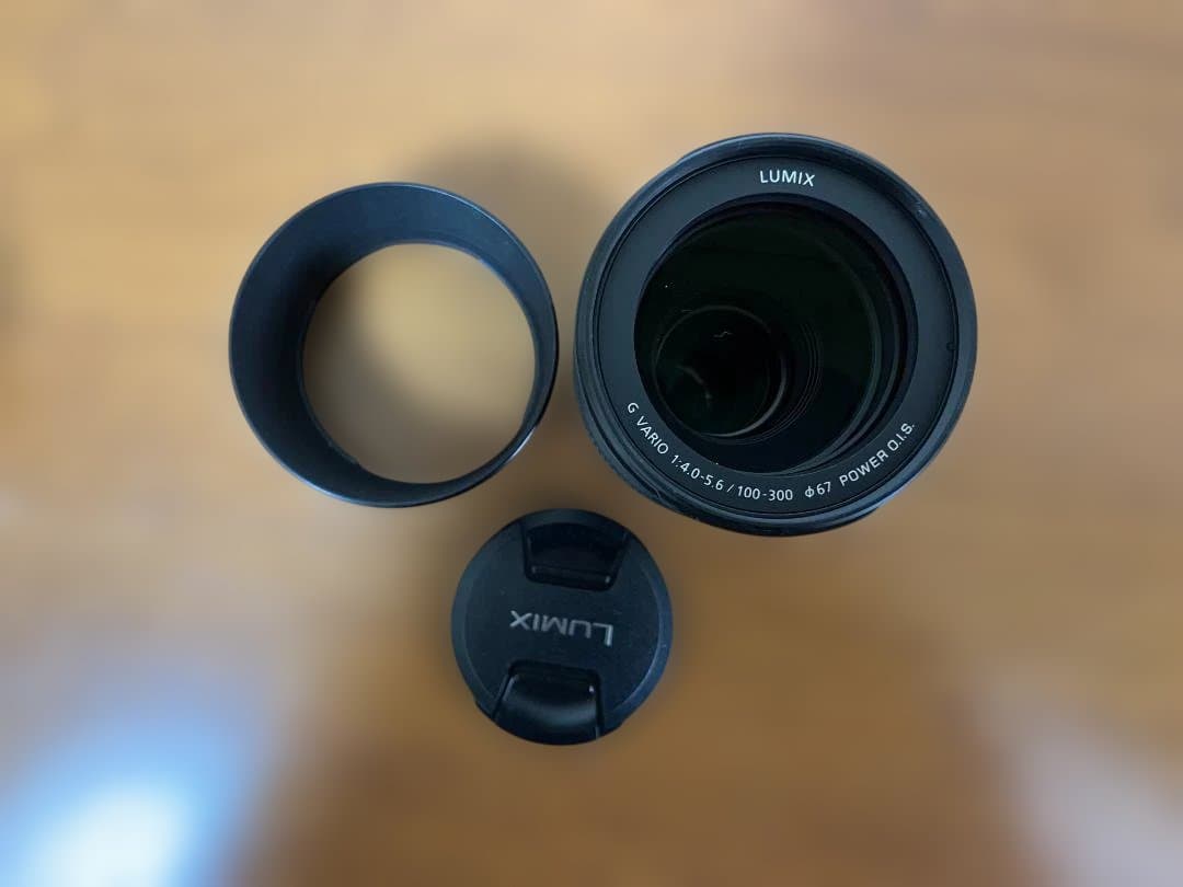 【価格相談可】LUMIX G VARIO 100-300mm/F4.0-5.6