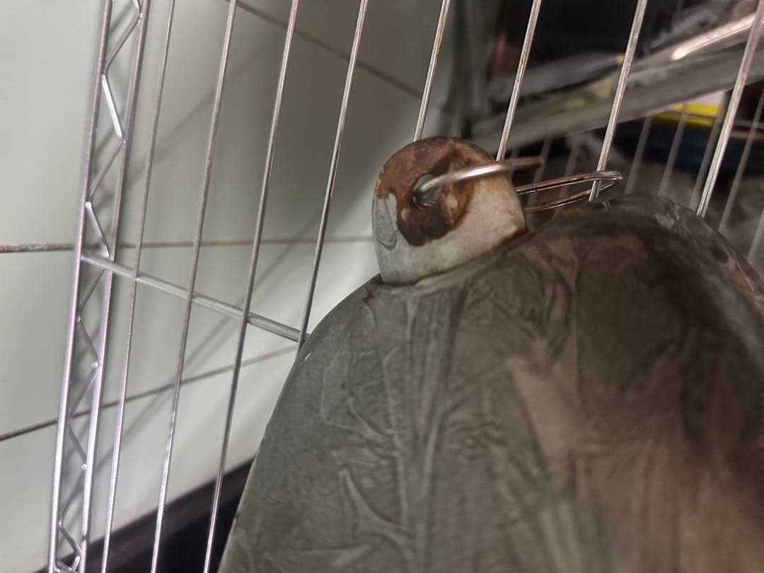 バーマン3号さん用