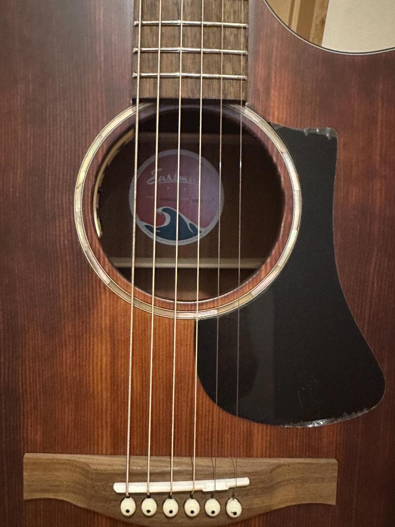 Eastman　PCH1-GACE-CLA　ピックアップ搭載エレアコ　保証あり