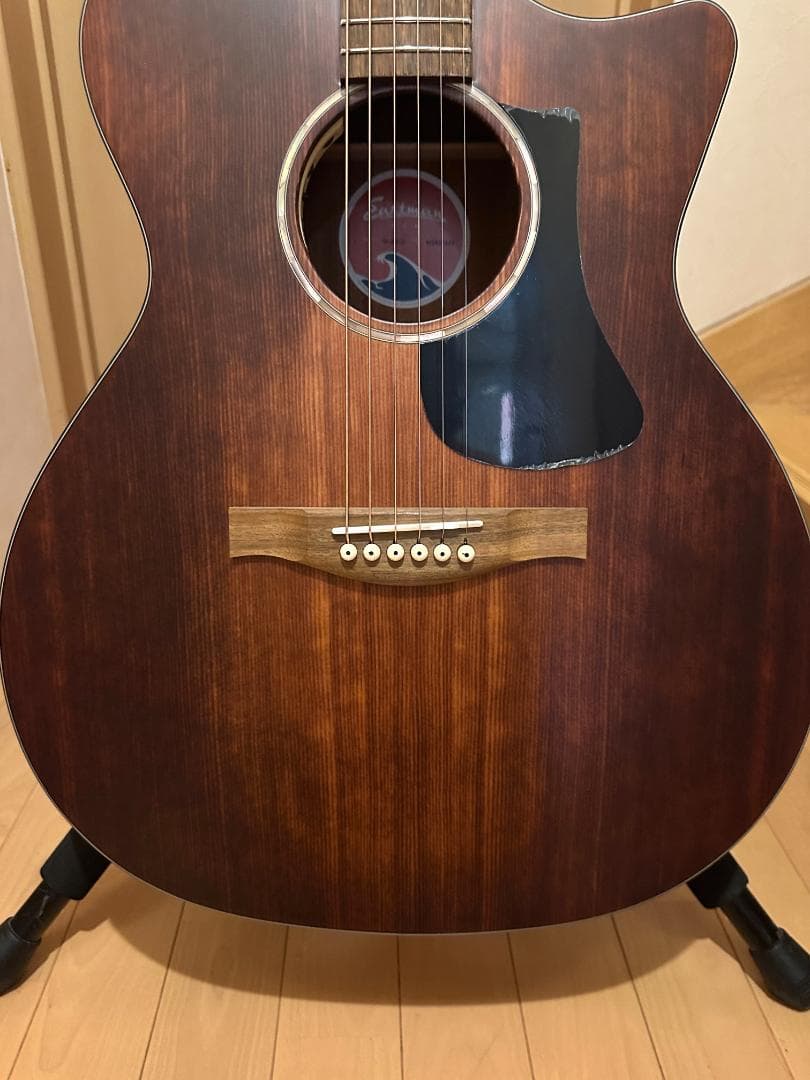 Eastman　PCH1-GACE-CLA　ピックアップ搭載エレアコ　保証あり