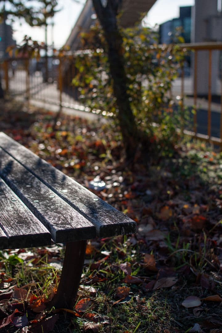 【作例有※実用品】Nikon DX 35mm f/1.8G レンズ