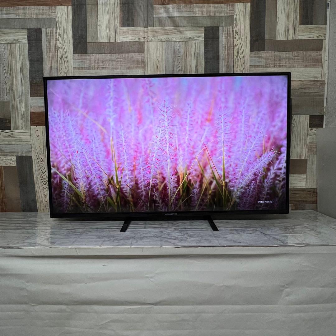 即日受渡❣️全国送料込ジャパンネクスト50型4K液晶モニターブルーライト軽減