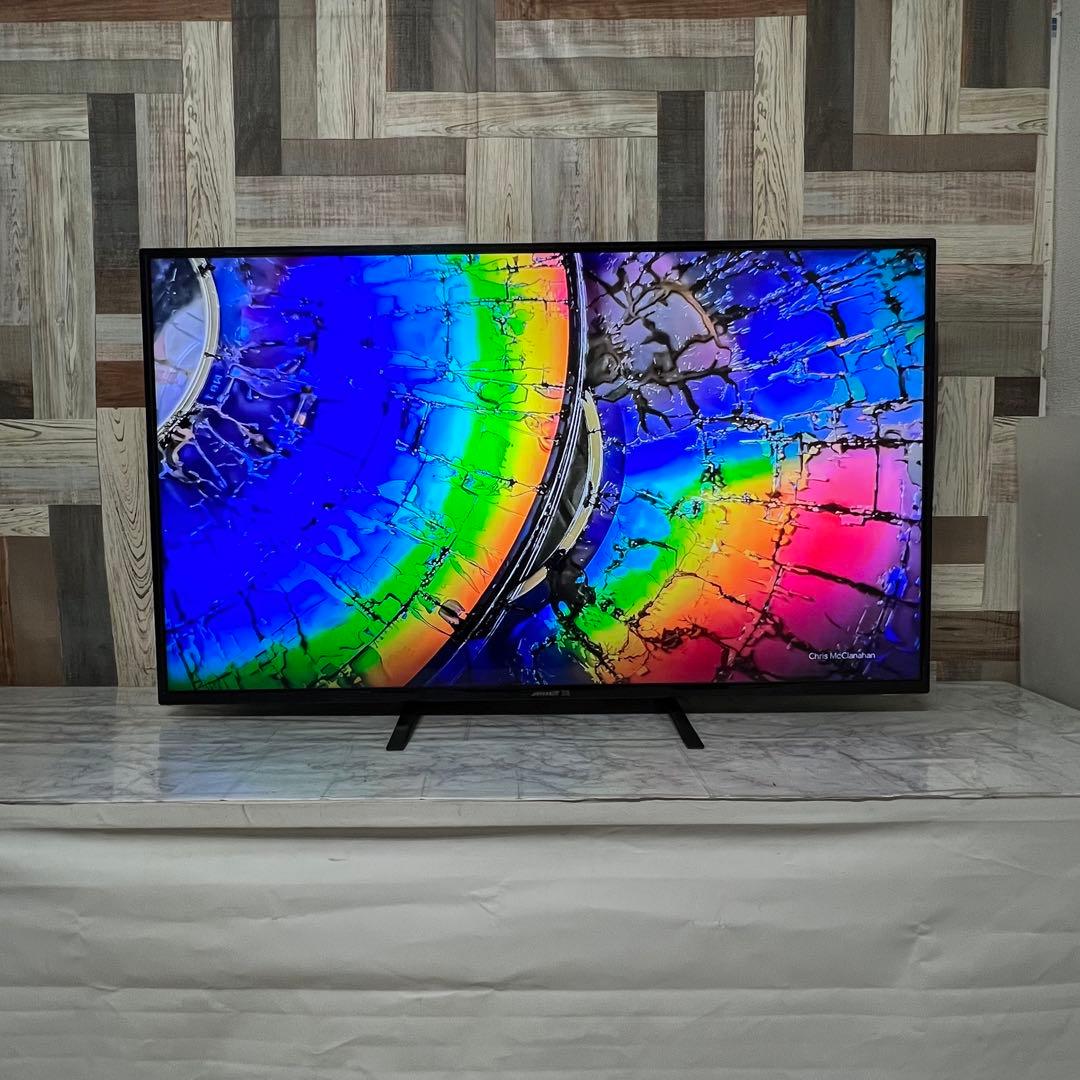 即日受渡❣️全国送料込ジャパンネクスト50型4K液晶モニターブルーライト軽減