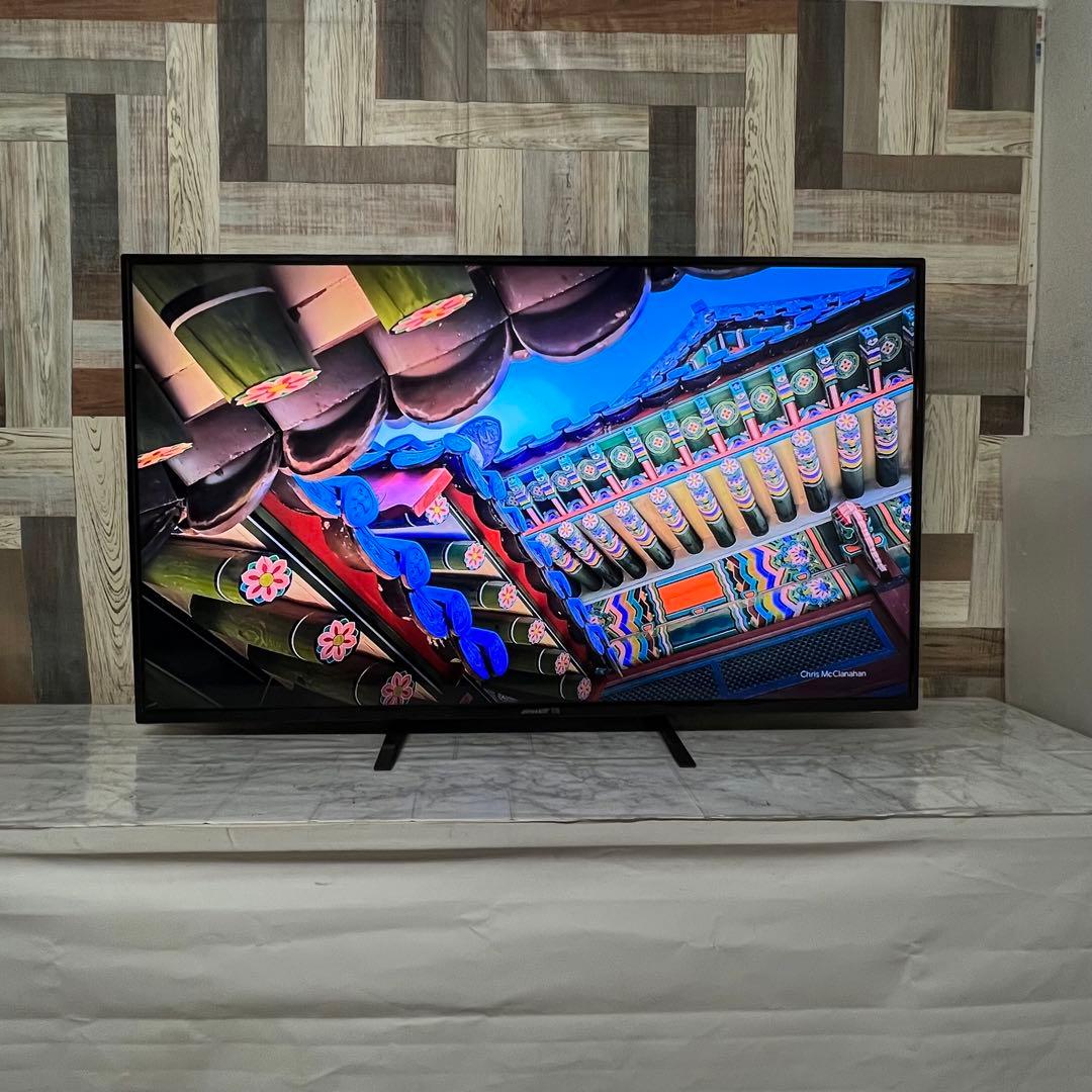 即日受渡❣️全国送料込ジャパンネクスト50型4K液晶モニターブルーライト軽減