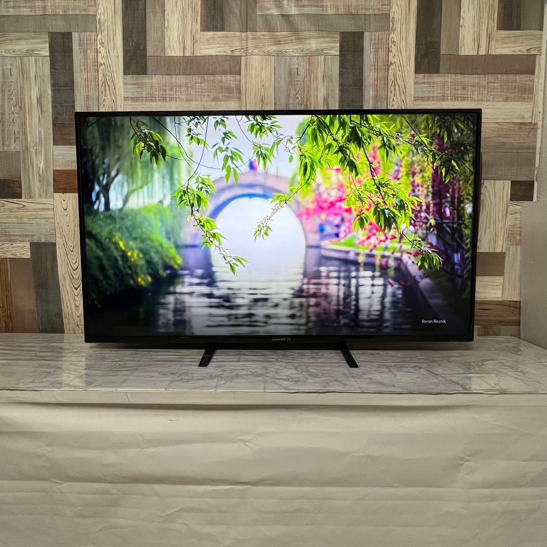 即日受渡❣️全国送料込ジャパンネクスト50型4K液晶モニターブルーライト軽減