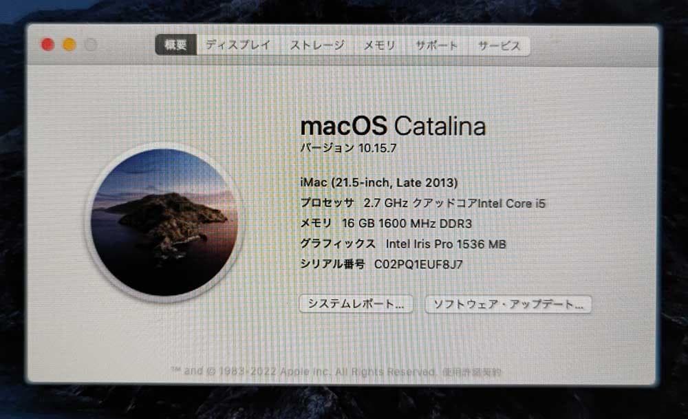 Macデスクトップ iMac 21.5 Late 2013 16GB 1TB