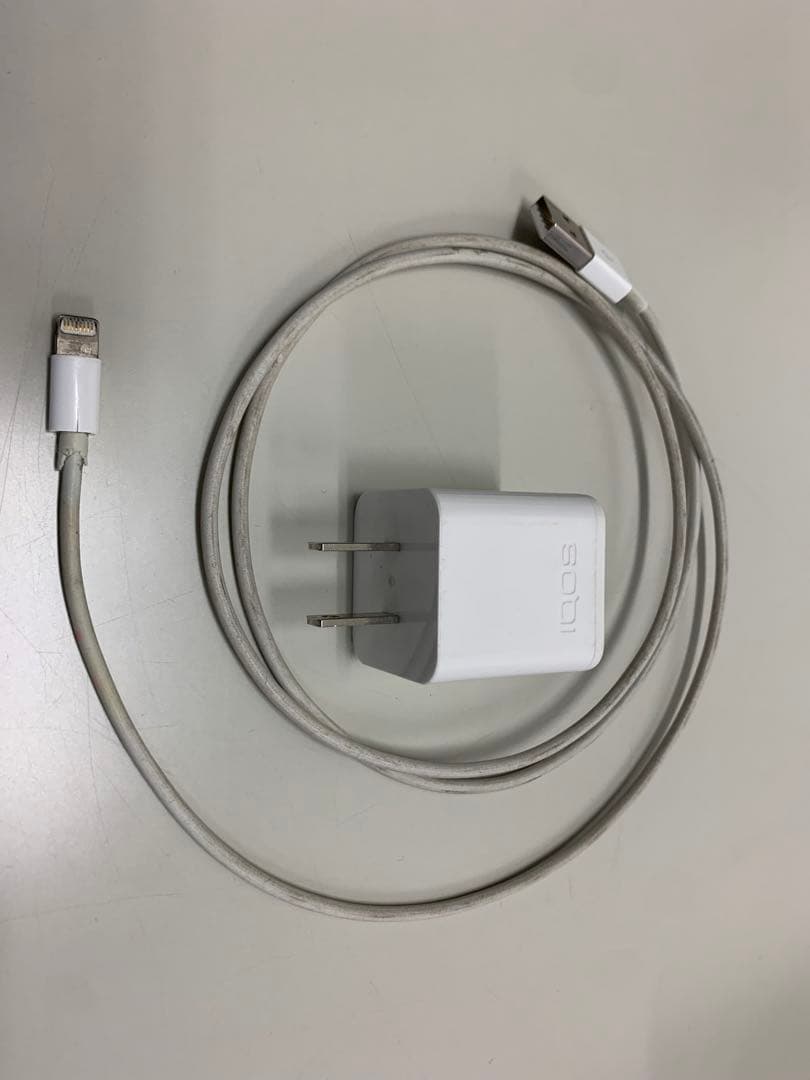 iPad本体 iPad mini5 256GB Cellular