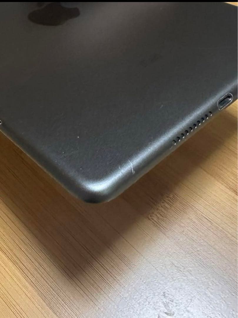 iPad本体 iPad mini5 256GB Cellular