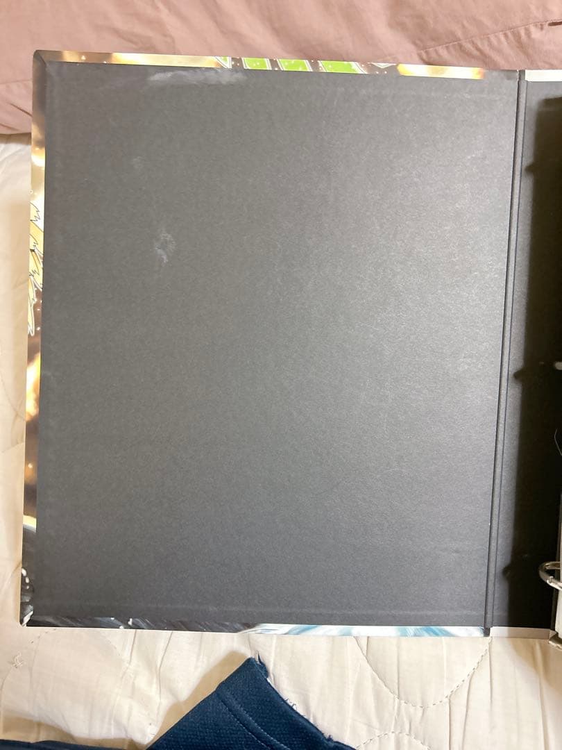 ポケモンカード ファイル ルギア ホウオウ カード 237枚 まとめ売り BW