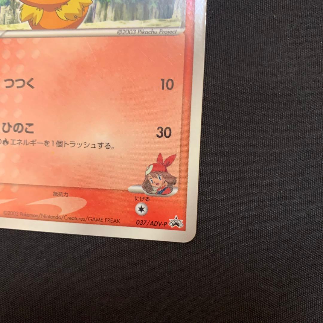 タケシのミズゴロウ　ハルカのアチャモ