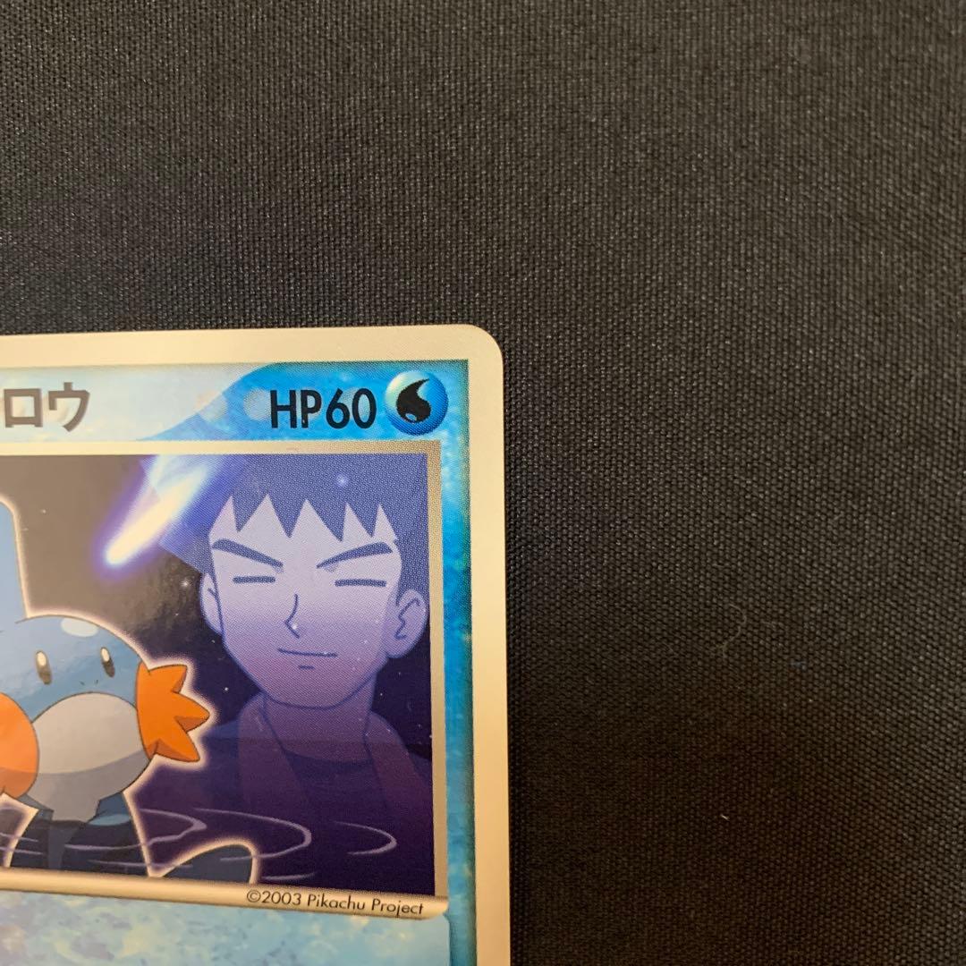 タケシのミズゴロウ　ハルカのアチャモ