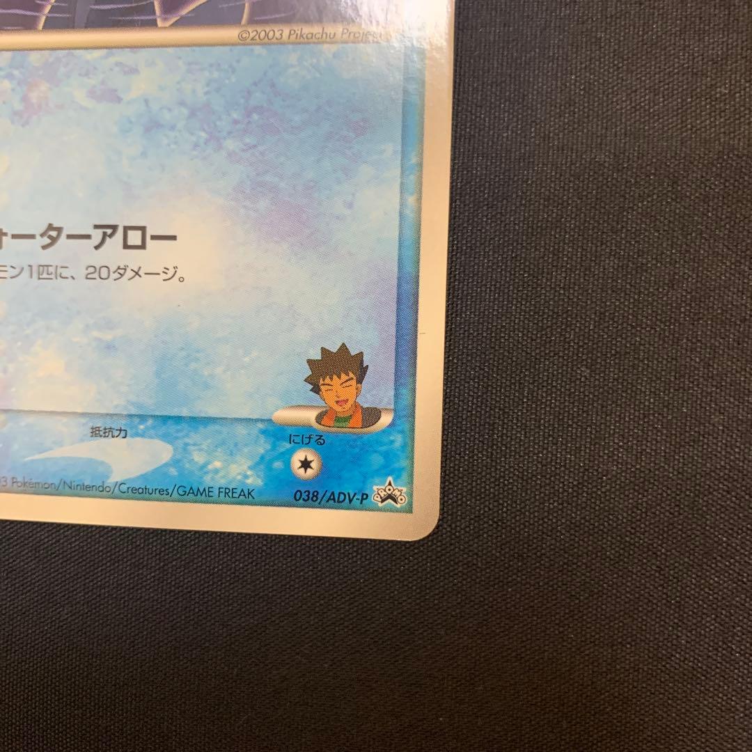 タケシのミズゴロウ　ハルカのアチャモ