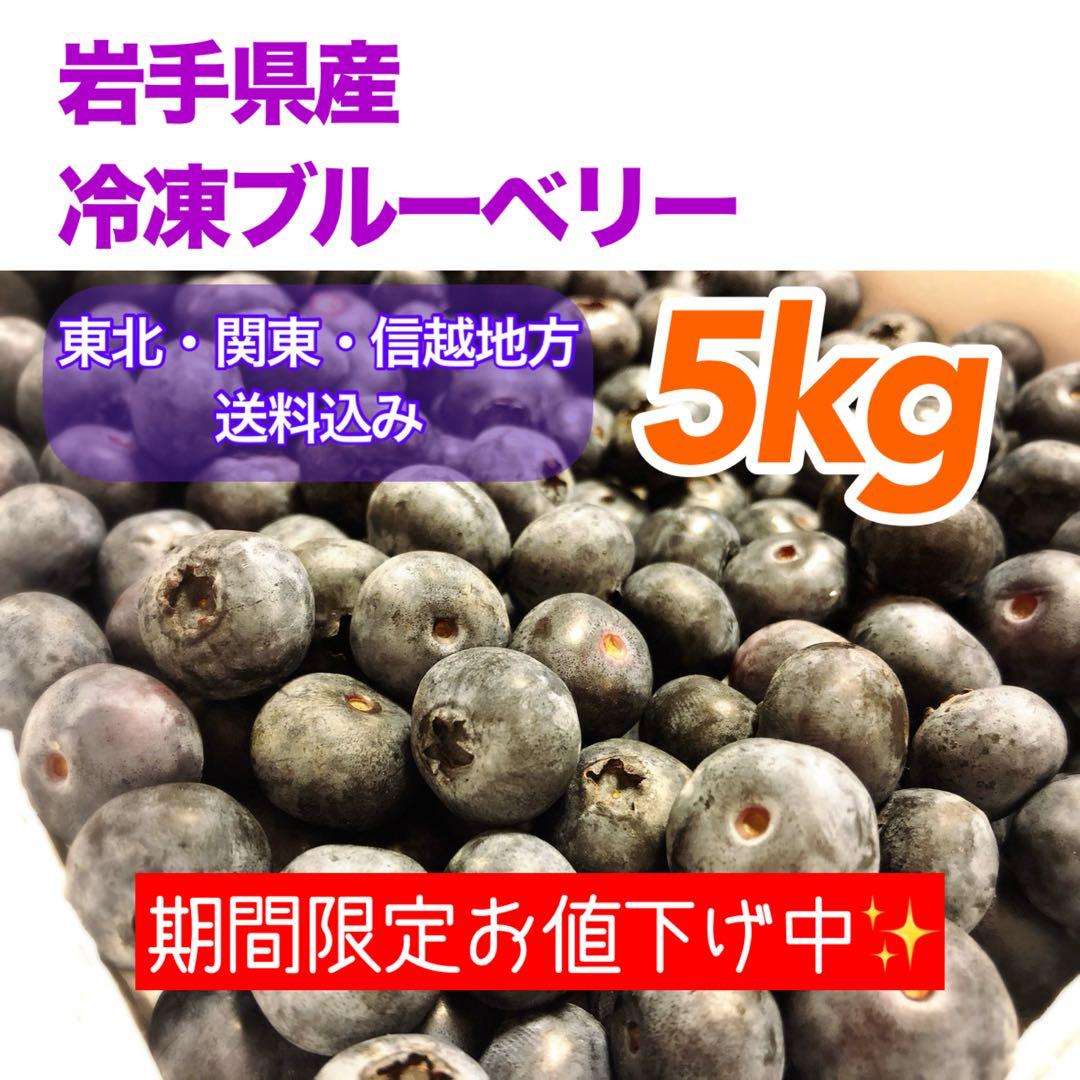 岩手県産 冷凍ブルーベリー 5kg