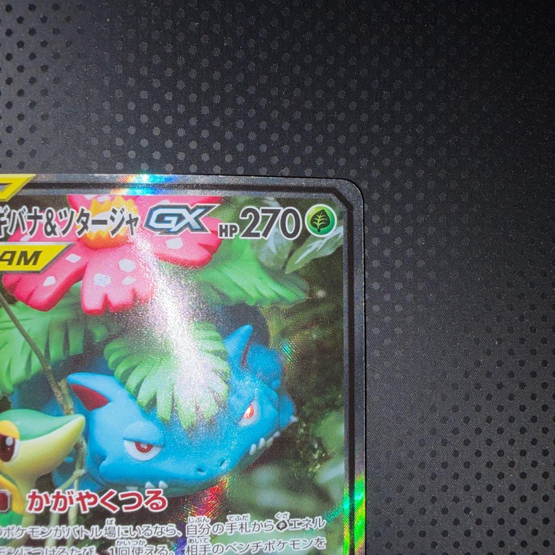 美品 フシギバナ＆ツタージャGX かがやくつる SR SA