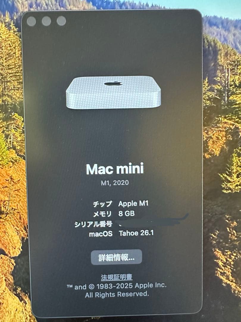 Macデスクトップ Apple Mac mini M1 8GB 256GB