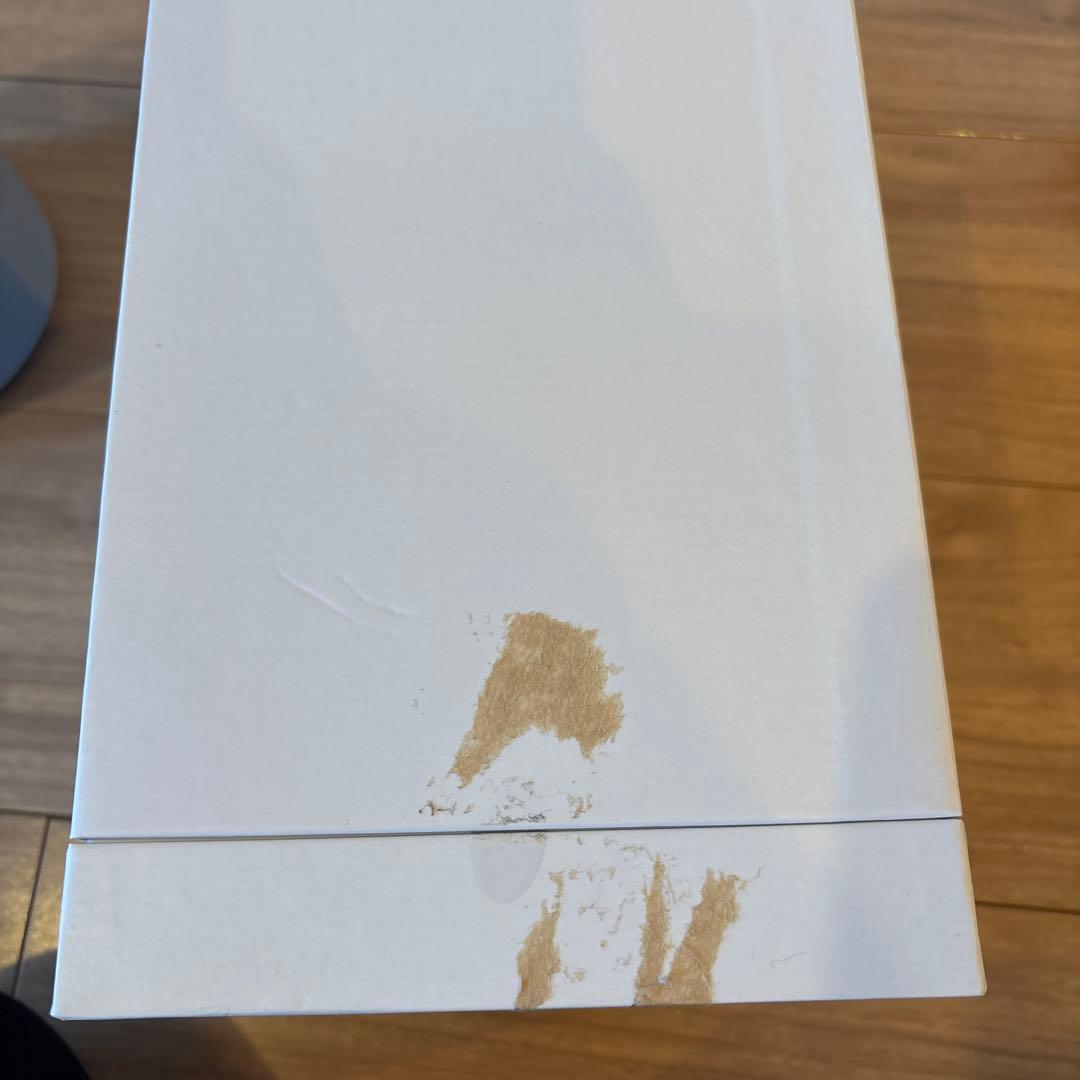 SALONIA フェイススチーマー グレー