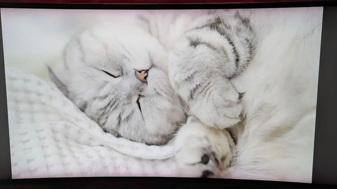 LG ゲーミングウルトラワイドモニター 34GK950F-B 34インチ