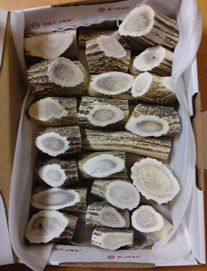 M4【箱びっしり太目端材詰め合わせ】北海道エゾシカ鹿角