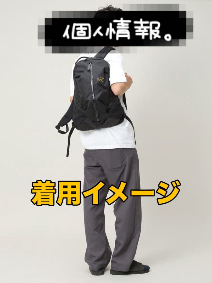 【美品】国内正規品 アークテリクス アロー16 ブラック×ゴールド 廃盤カラー