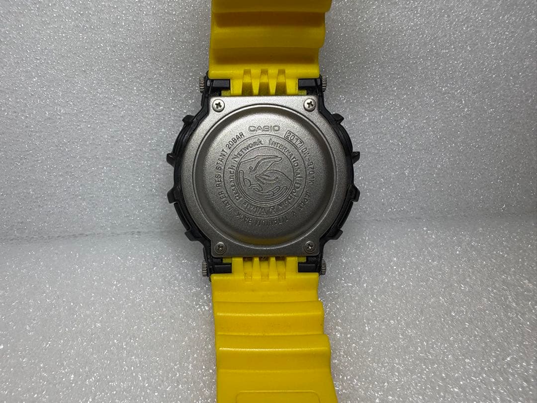 G-SHOCK イルクジ DW-9701K-9JR ICERC タフソーラー