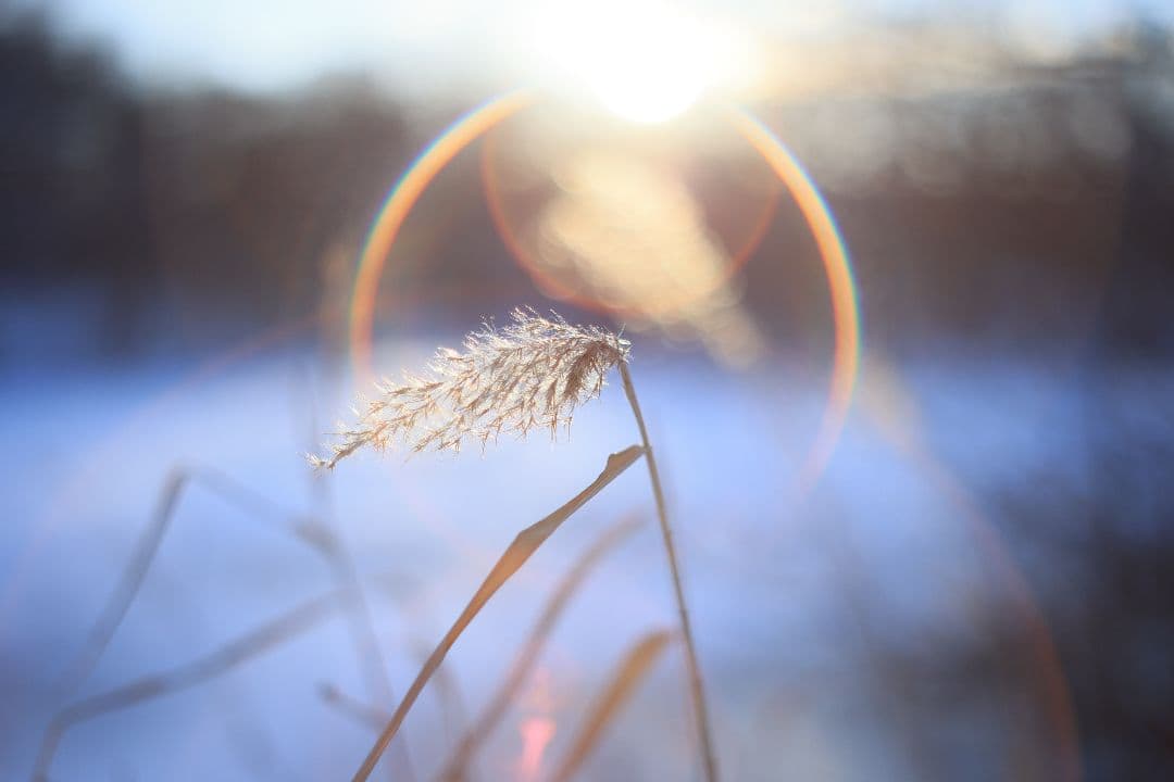 Super-Takumar 55mm F1.8 後期型 S/N：2094122