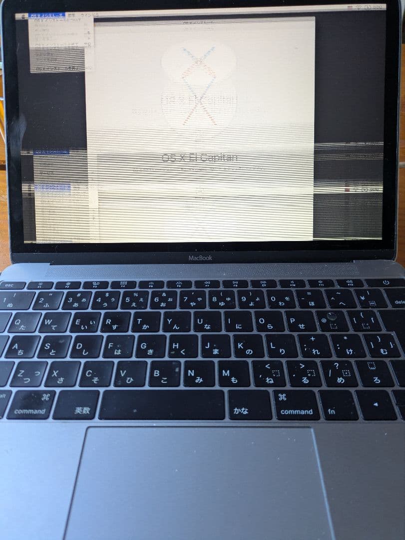 【ジャンク品】Apple MacBook A1534 EMC2746 シルバー