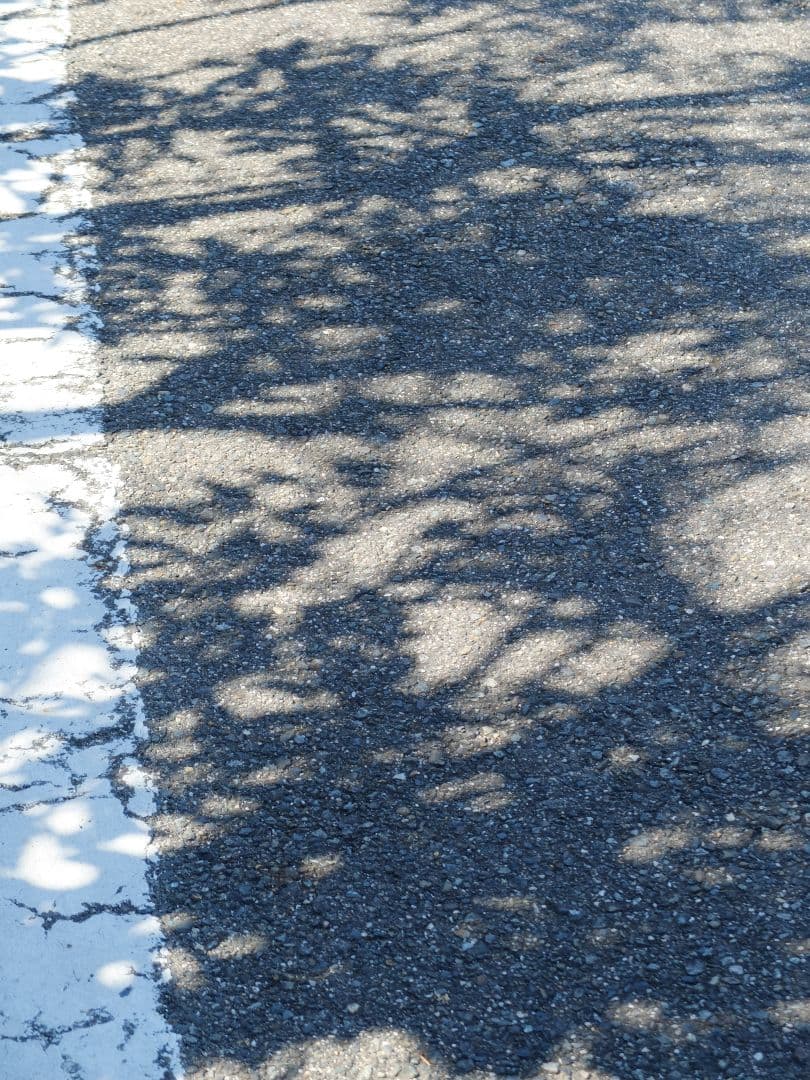 【美品】富士フイルム fujifilm x20