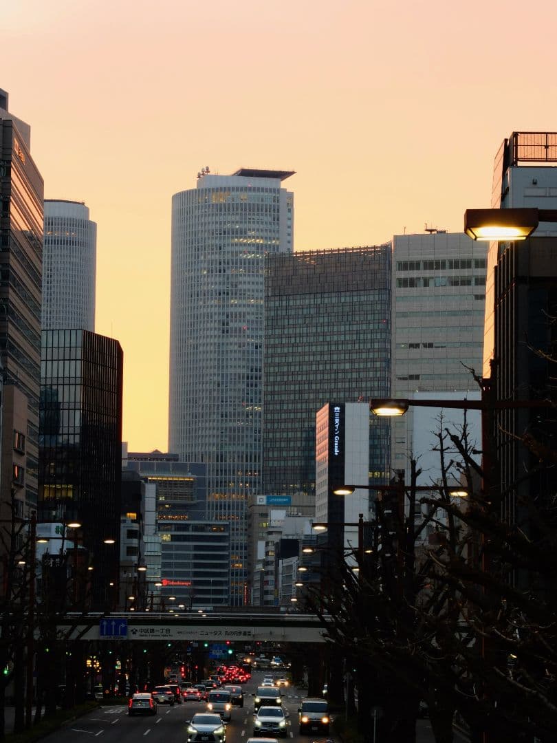 【美品】富士フイルム fujifilm x20