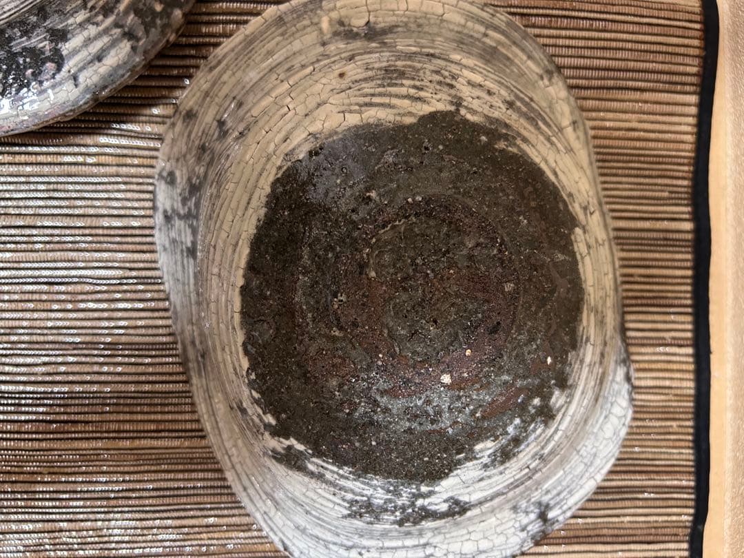 中川自然坊　刷毛目楕円皿　五枚セット