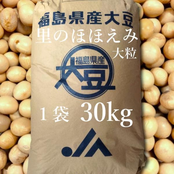乾燥大豆　30kg　里のほほえみ　大粒　令和3年産