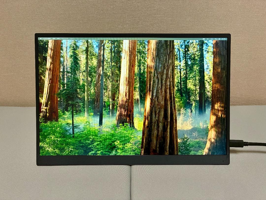 VAIO Vision+ 14 モバイルモニター