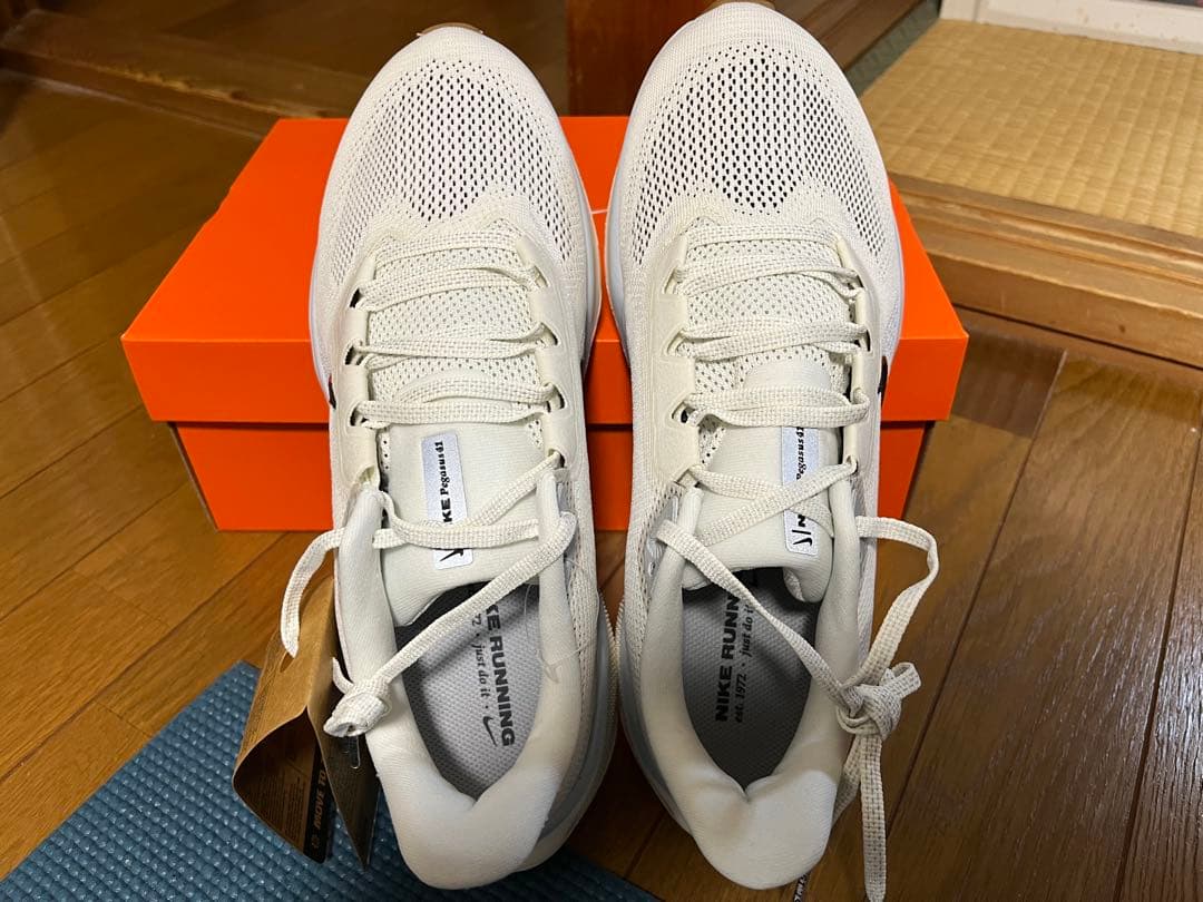 エアズームペガサス41（27cm）