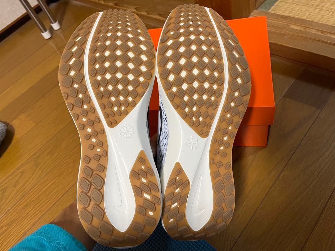 エアズームペガサス41（27cm）